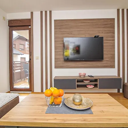 Darija Lux Nina 아파트 즐라티보