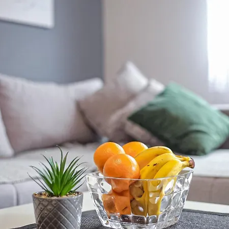 Darija Lux Nina 즐라티보