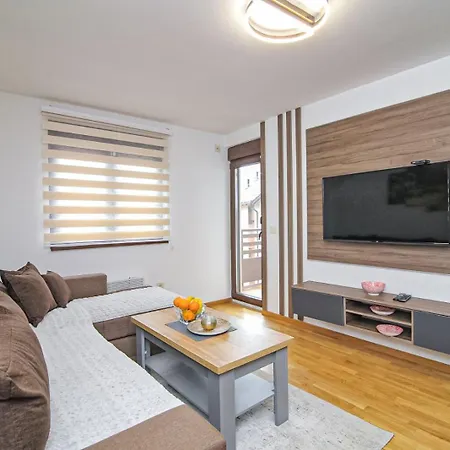 Darija Lux Nina 즐라티보