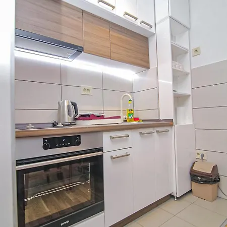 Darija Lux Nina 즐라티보